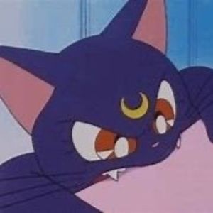 Meet your Posher, Luna